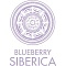 BLUEBERRY SIBERICA