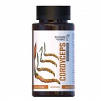 GOLDEN PHARM Kordiceps, 60 kapsulas